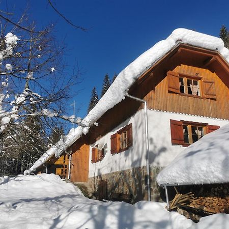 Pohorje House 2 Four Appartmetns Oplotnica Kültér fotó