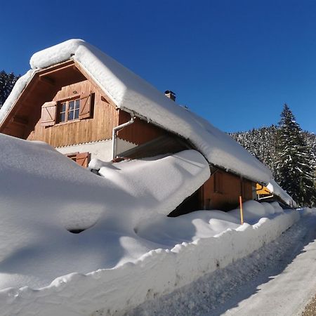 Pohorje House 2 Four Appartmetns Oplotnica Kültér fotó